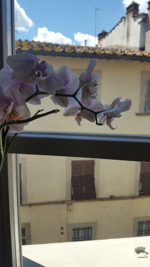 Sweet Tuscany 阿雷佐 外观 照片